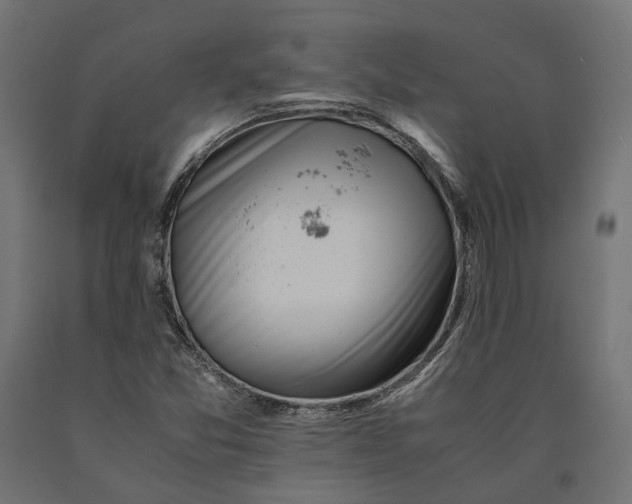 X0000090431357200708031119