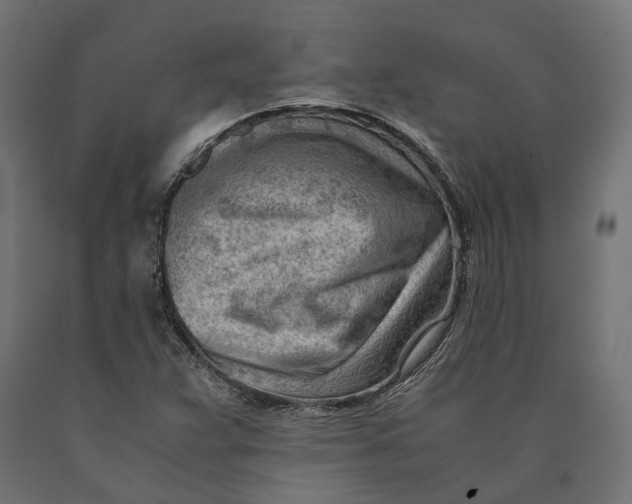 X0000090431359200708031119