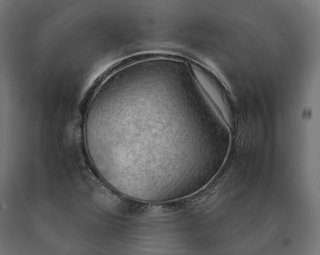 X0000090431360200708031119