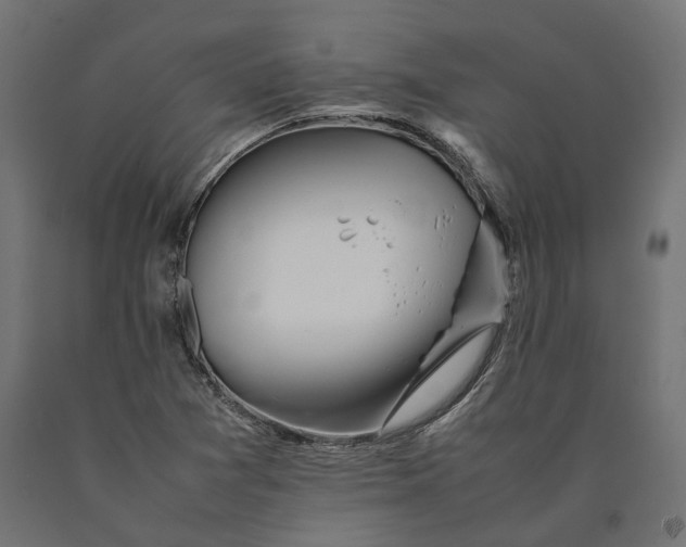 X0000090431361200708031119