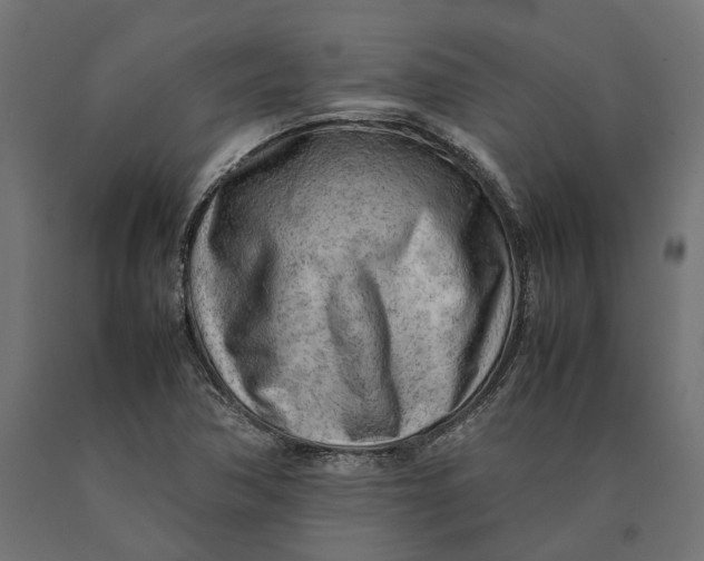 X0000090431362200708031119