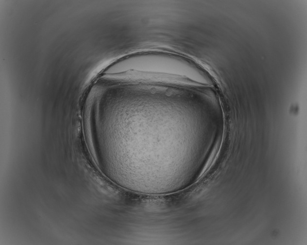 X0000090431363200708031119