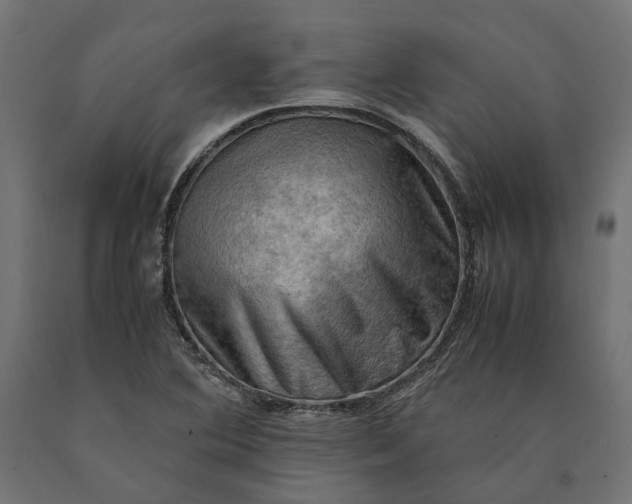 X0000090431364200708031119