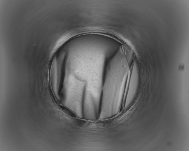 X0000090431365200708031119