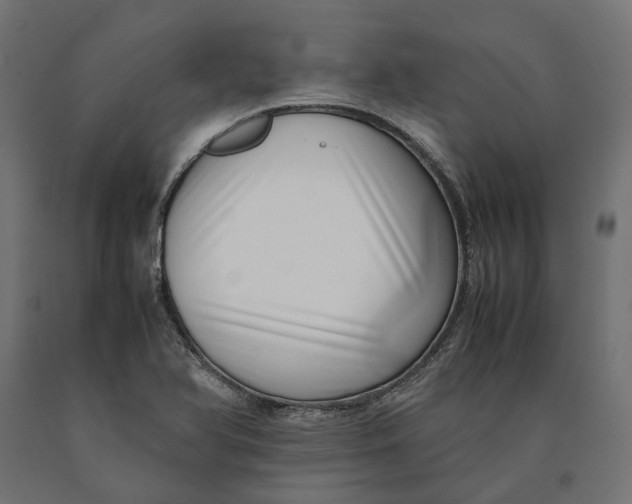 X0000090431366200708031119