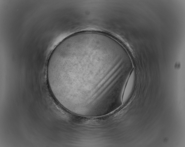 X0000090431367200708031119