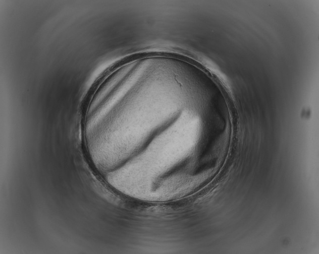 X0000090431368200708031119