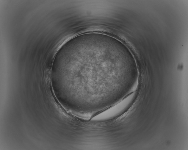 X0000090431369200708031119