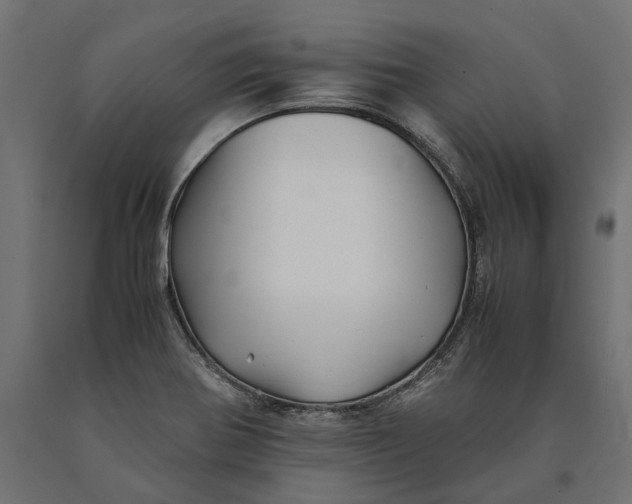 X0000090431370200708031119