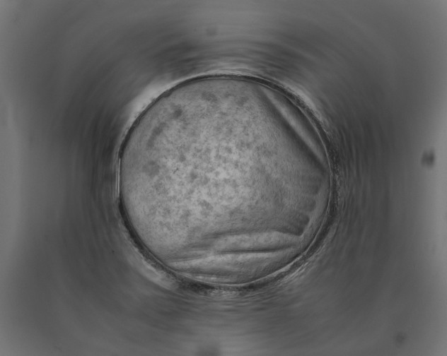 X0000090431371200708031119