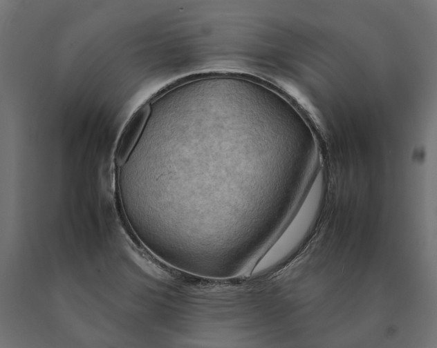 X0000090431372200708031119