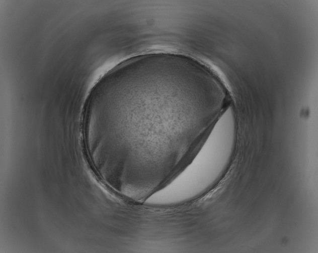 X0000090431373200708031119