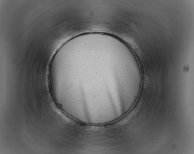 X0000090431374200708031119