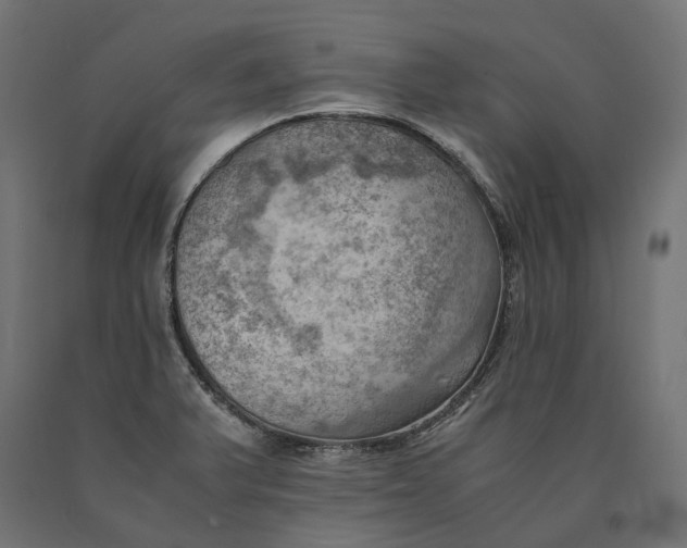 X0000090431375200708031119