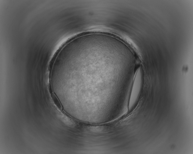 X0000090431376200708031119