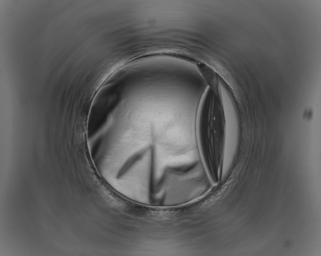 X0000090431377200708031119