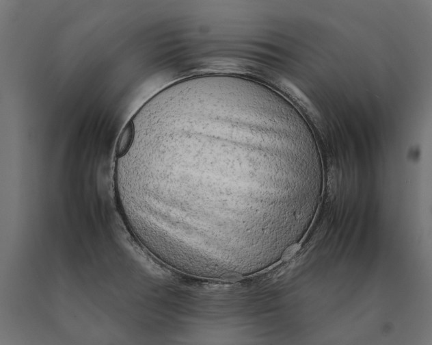 X0000090431378200708031119