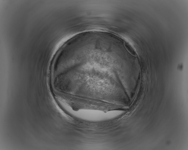 X0000090431379200708031119