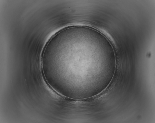 X0000090431380200708031119