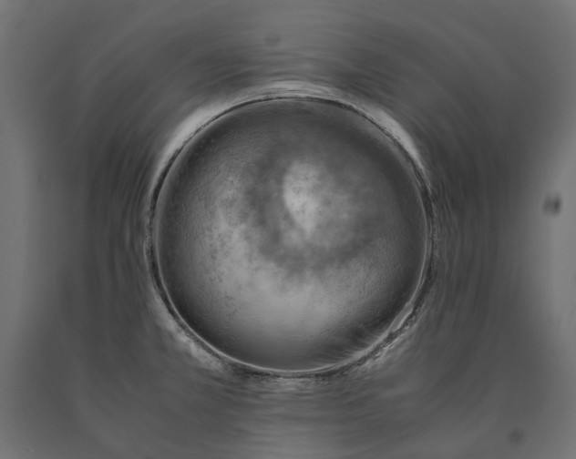 X0000090431381200708031119