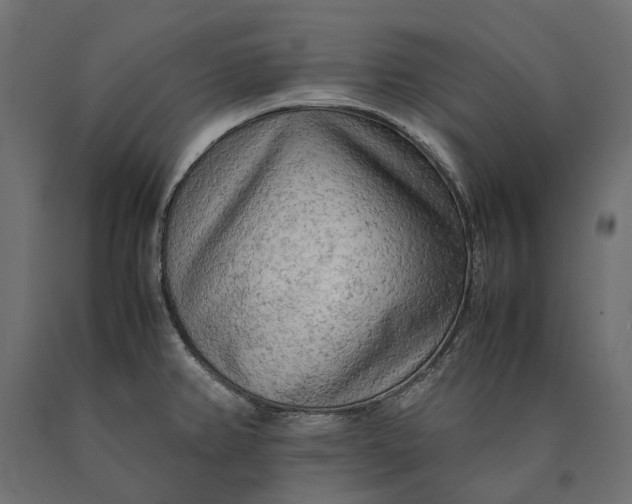 X0000090431382200708031119