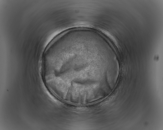 X0000090431383200708031119