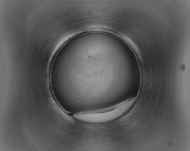 X0000090431384200708031119