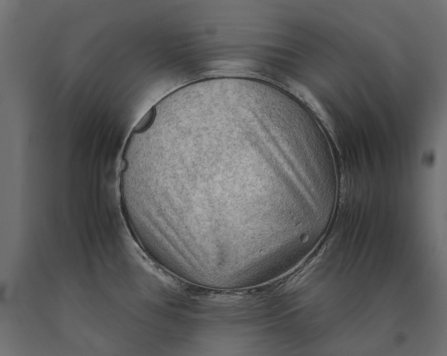 X0000090431386200708031119