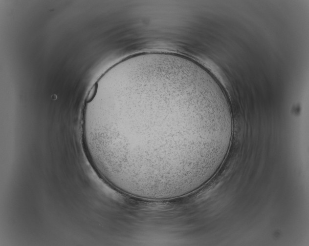 X0000090431387200708031119