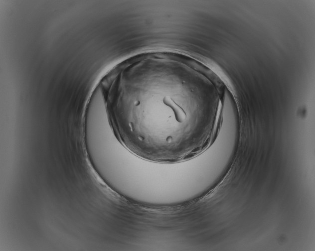 X0000090431388200708031119