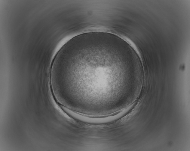 X0000090431389200708031119