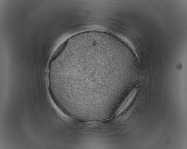 X0000090431391200708031119