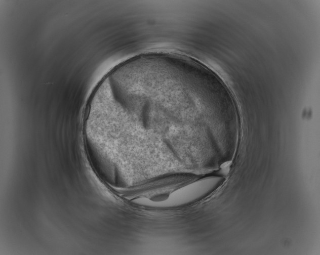 X0000090431392200708031119