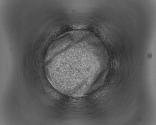 X0000090431393200708031118