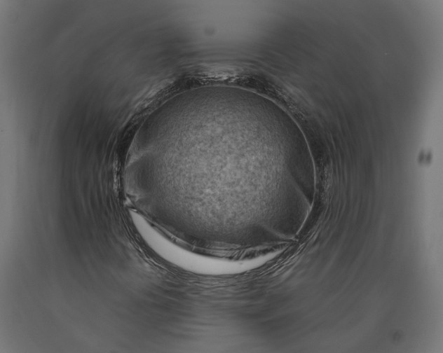 X0000090431394200708031118