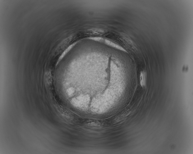 X0000090431395200708031118