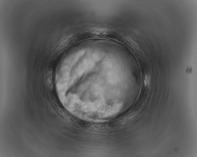 X0000090431396200708031118