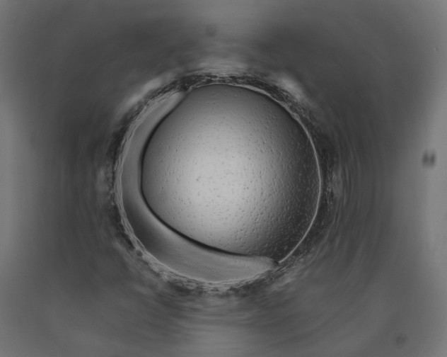 X0000090431398200708031118