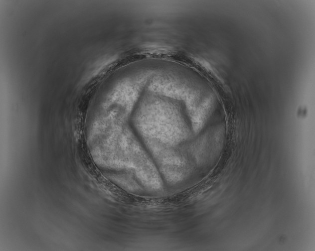 X0000090431399200708031118