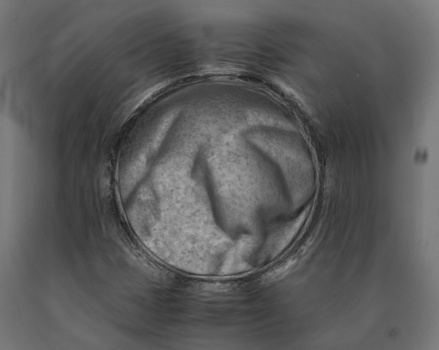 X0000090431401200708031118