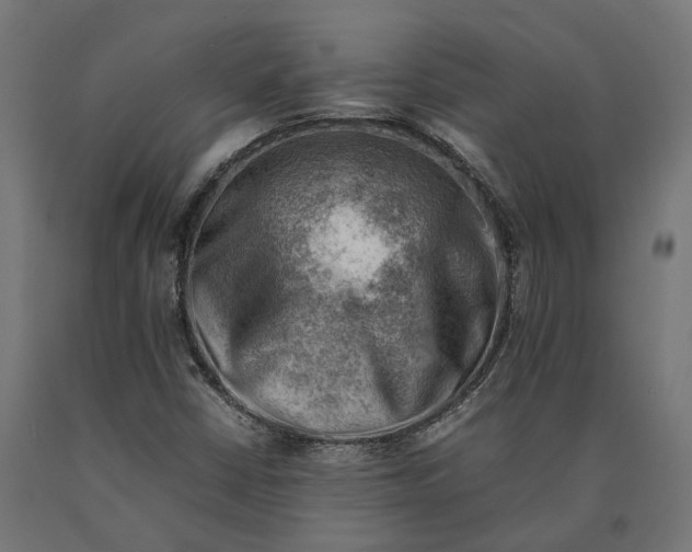 X0000090431402200708031118