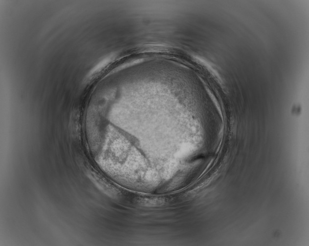 X0000090431403200708031118