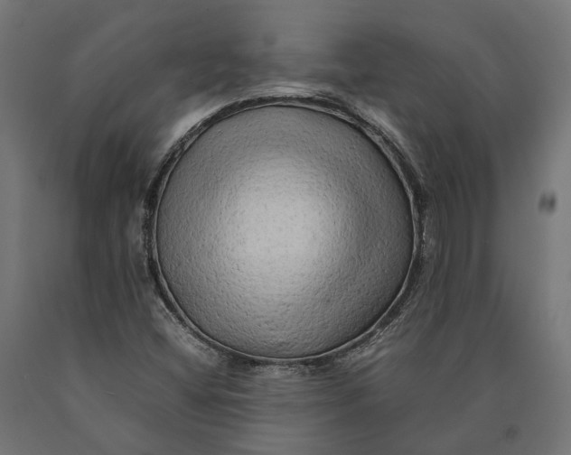 X0000090431404200708031118