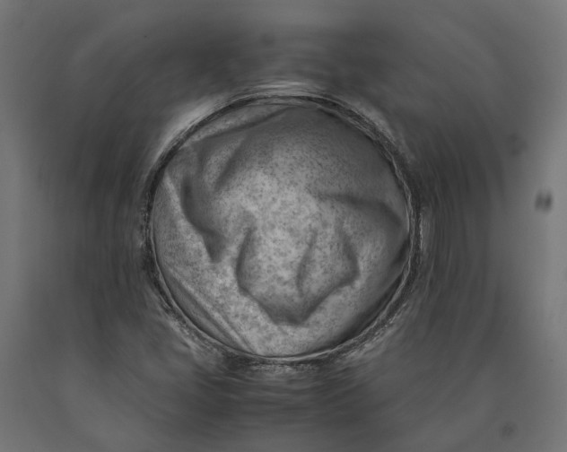 X0000090431405200708031118