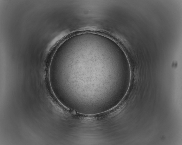 X0000090431406200708031118