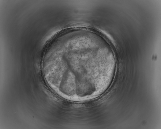 X0000090431407200708031119