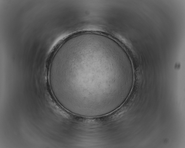 X0000090431408200708031119