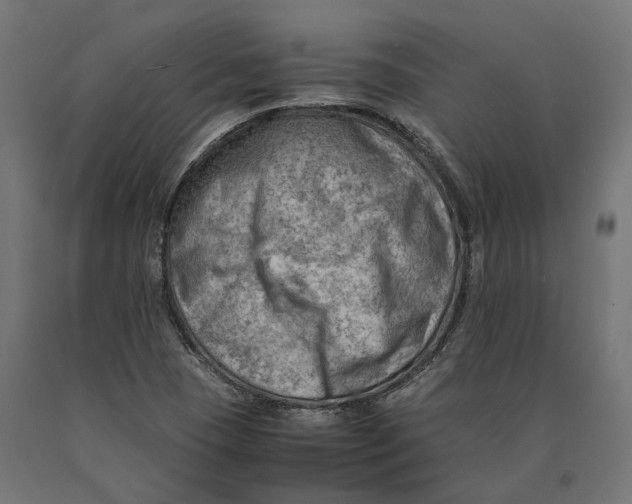 X0000090431409200708031119