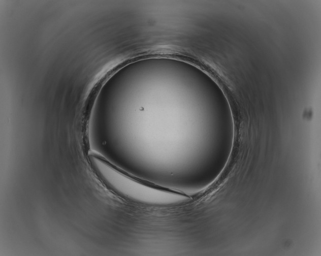 X0000090431410200708031119