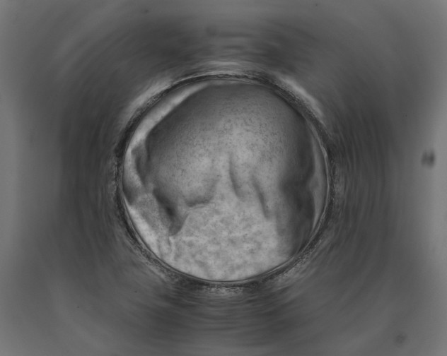 X0000090431411200708031119